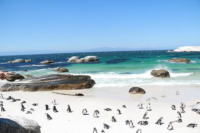 企鹅海滩