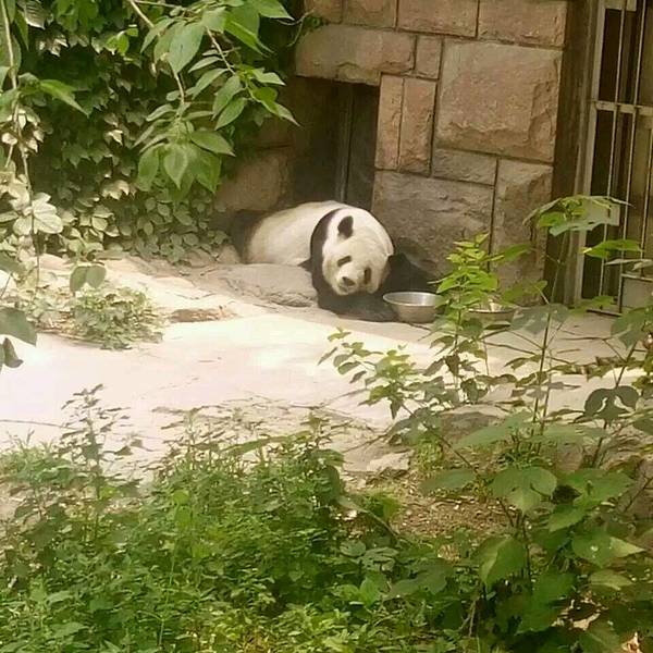 2019北京动物园门票,北京北京动物园游玩攻略