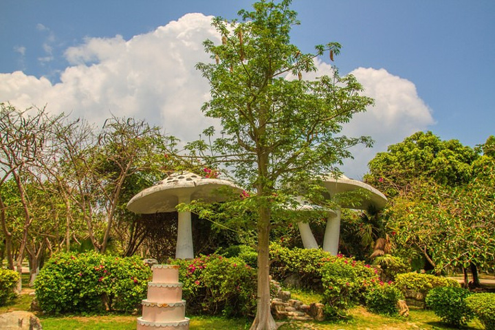 2017 西岛是海南开发旅游业比较早的岛屿之一