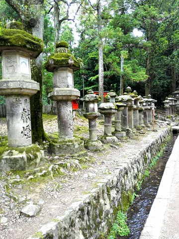 "很适合避暑，且沿途几乎没有什么人，游览起来非常舒服。整体给人的感觉真的很好_春日大社"的评论图片