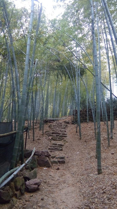 富盛五峰岭图片