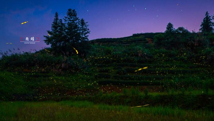 "入夜后的另外一番美景，周围的田间遍布着星星点点的萤火虫，已经很多年没有看过这样的景象了_萤火虫梦幻谷"的评论图片