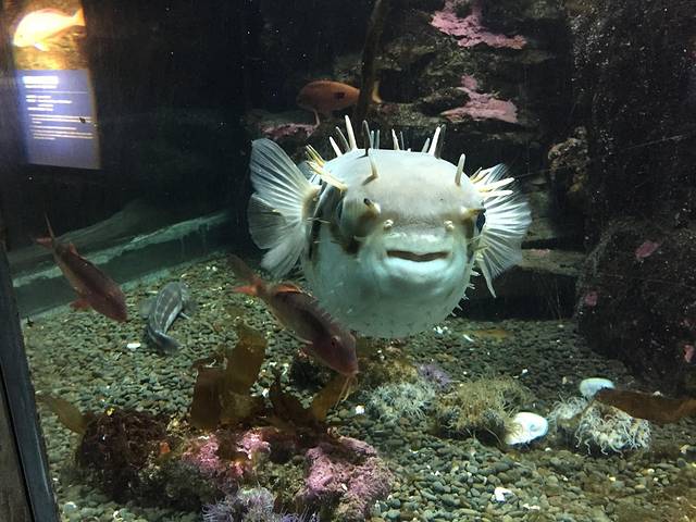 Kelly Tarlton’s SEA LIFE Aquarium