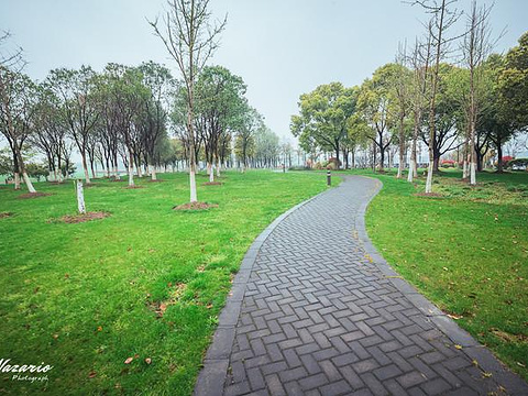 金仓湖公园旅游景点图片