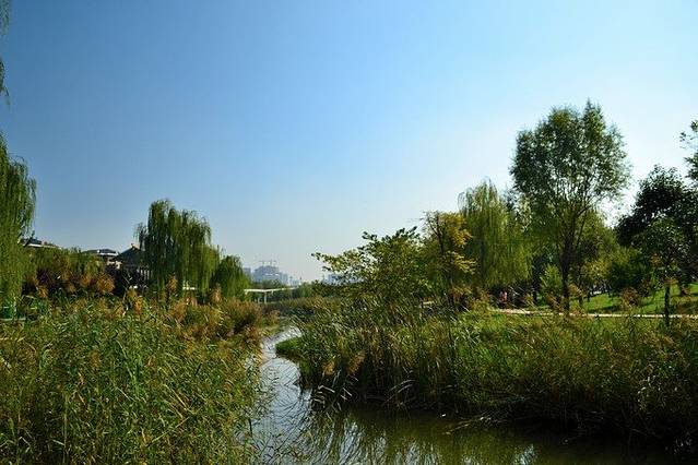 曲江海洋极地公园