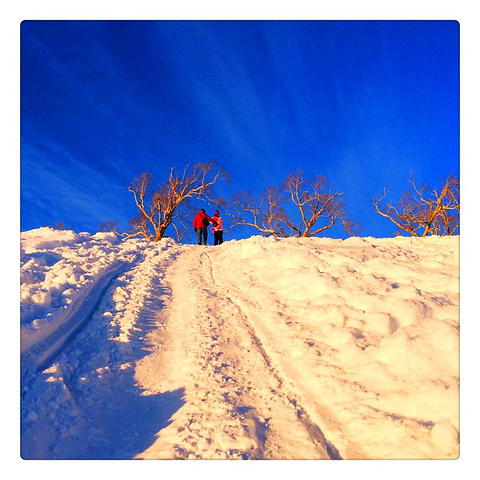 2017是黑龙江境内的最高峰 大秃顶子山的._大