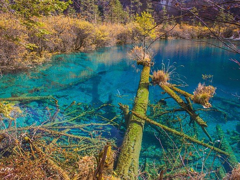 2019金铃海_旅游攻略_门票_地址_游记点评,九寨沟旅游景点推荐 - 去