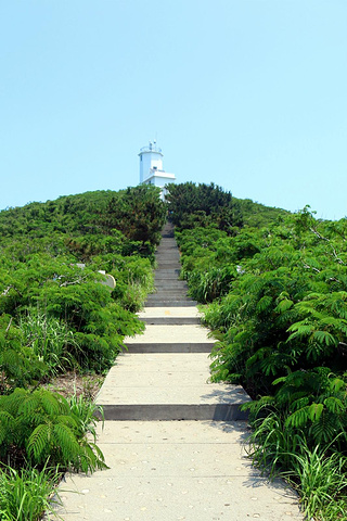 "海驴岛的神话传说也变得黯然失色，游客更多的目光聚集在与黑尾鸥的嬉戏玩耍，或惊叹于千万年来被海浪..._海驴岛"的评论图片