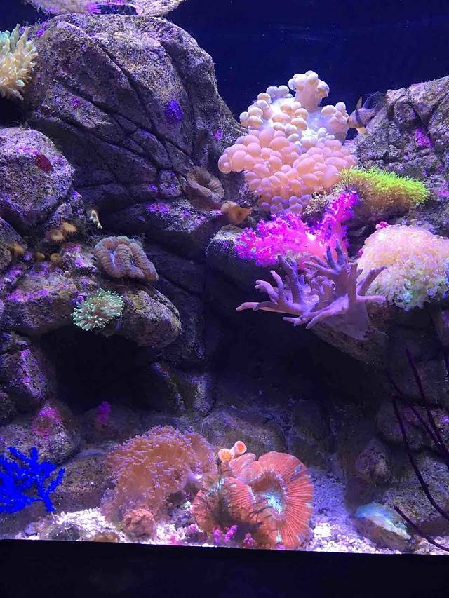 海滨城浩海立方海洋公园