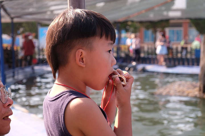 2017你会讶异于这边海滩竟然是罕见的砾石滩