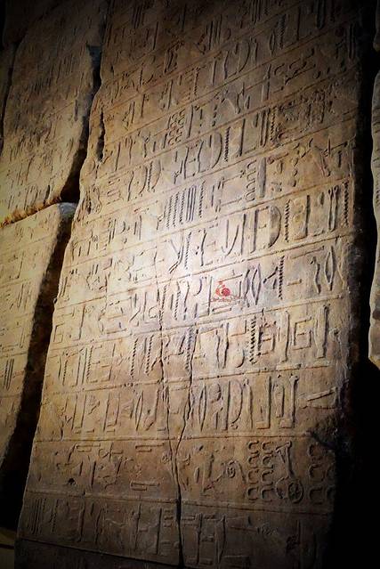 法国荷兰圆梦之旅