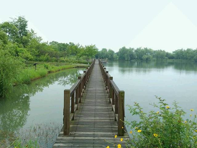 苏州太湖湖滨国家湿地公园
