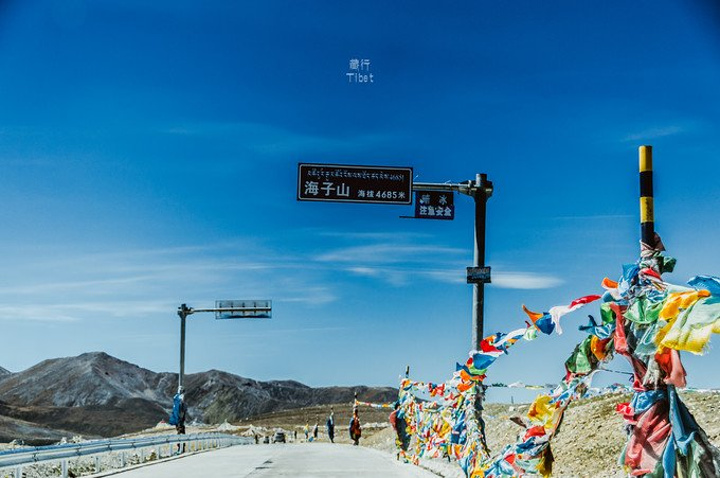 毫无防备,就跳出在眼前,那惊艳的感觉让人浑身起鸡皮疙瘩_海子山"