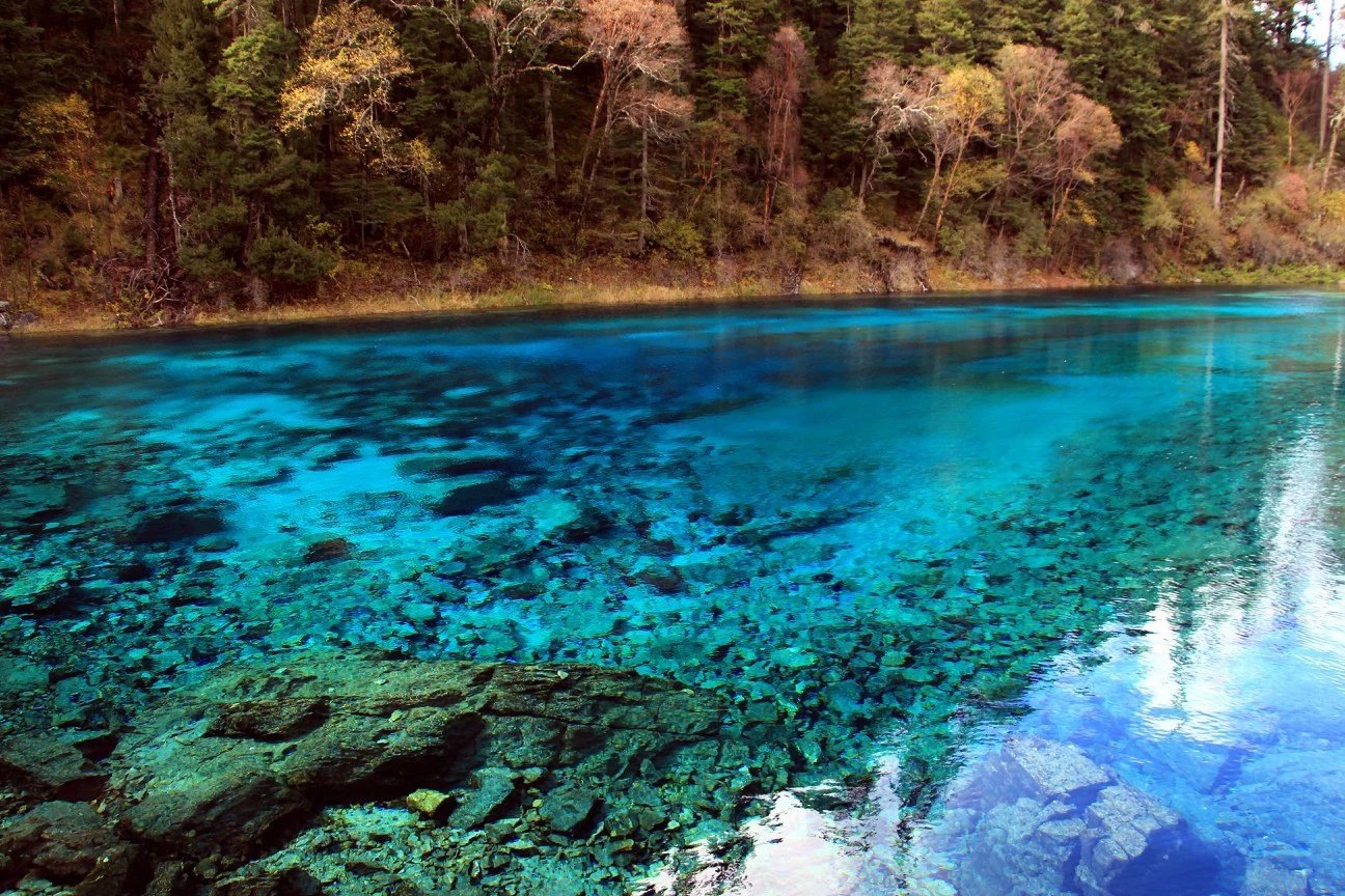 2019褡裢海游玩攻略,九寨沟的风景特别是九寨沟的.【去哪儿攻略】