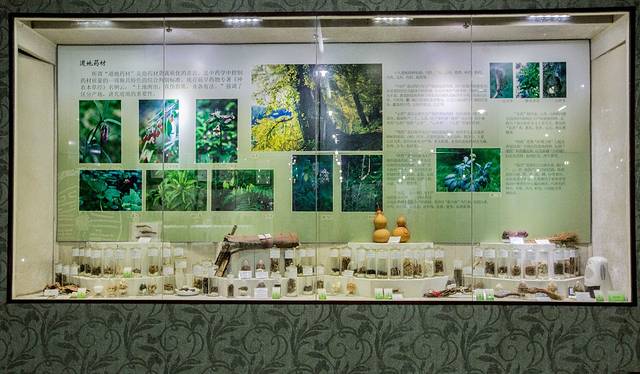 广东中医药博物馆