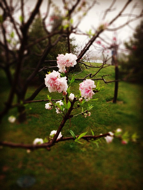 梦回唐朝,故里长安荡气回肠_西安旅游攻略