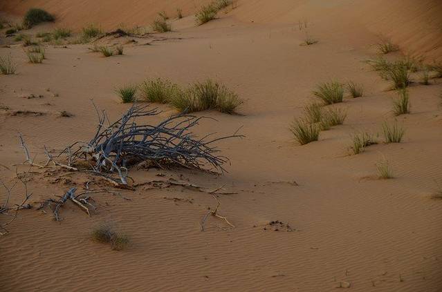 阿联酋热气球探险