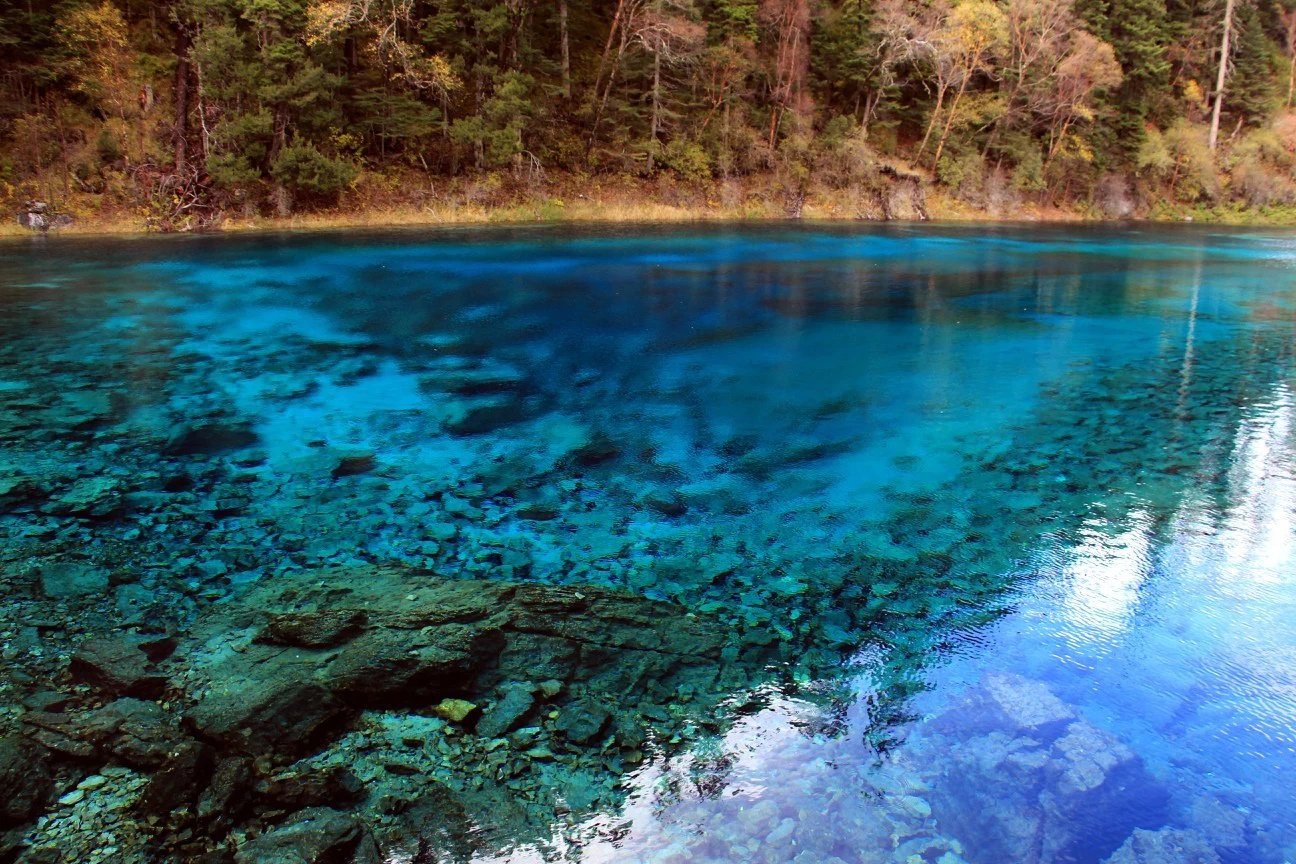 2019褡裢海游玩攻略,九寨沟的风景特别是九寨沟的.【去哪儿攻略】