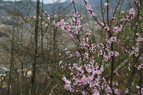 箐口哈尼民俗村旅游景点攻略图