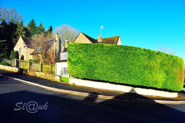 普赖尔公园景观花园