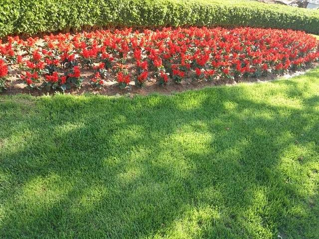 沈阳市万柳塘公园