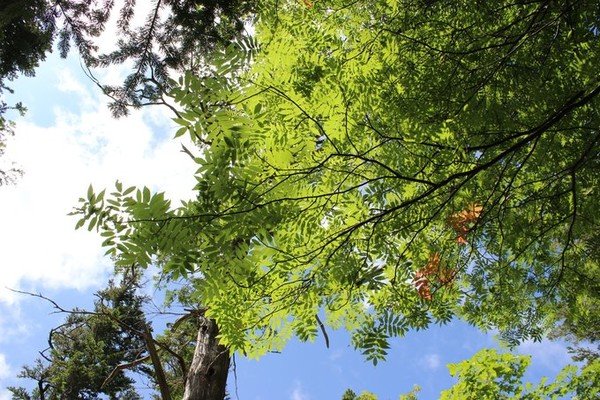 是时候去北海道了:梦幻夏日之旅
