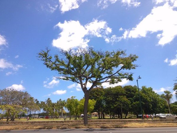 带父母环绕地球一圈公里数 之 最爱夏威夷