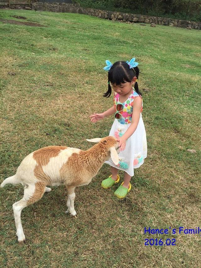 景美人乐--一家三口的毛球游