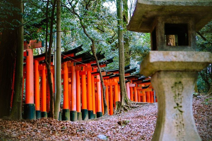 2017京都注意各个寺庙参观的时间,有些是分季