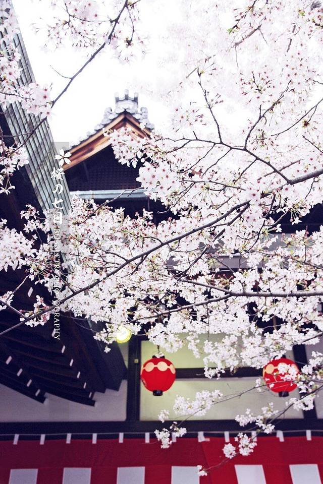 祗园新地歌舞练场