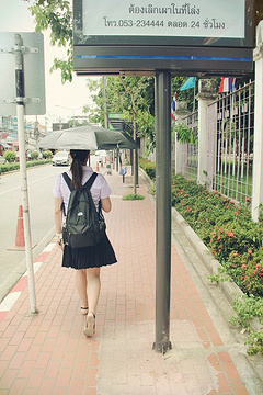 清迈大学旅游景点攻略图