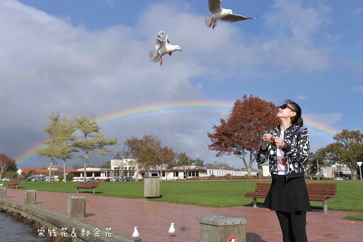 "之后来到罗托鲁瓦湖，罗托鲁阿湖是因火山喷发引致凹陷而形成的，湖上三五成群的野鸭和天鹅游荡其中，..._罗托鲁瓦湖"的评论图片