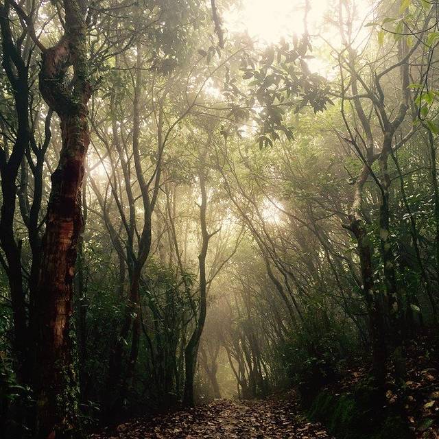 磨盘山国家森林公园