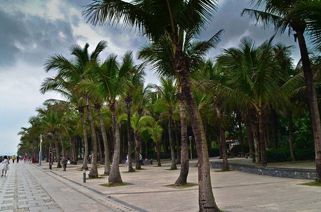 红树林海滨生态公园