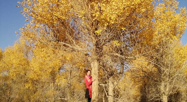 奔向额济纳旗,穿越千年的爱恋