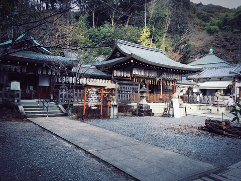 熊猫若王子神社旅游景点攻略图