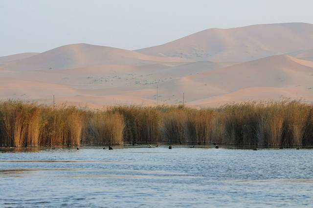 阿拉善沙漠世界地质公园