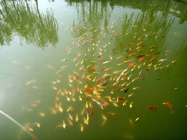 簸箕掌生态旅游景区