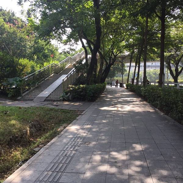 2019荷兰花卉小镇门票,深圳荷兰花卉小镇游玩