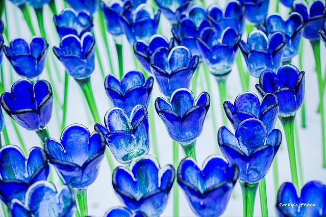 新城市广场（沙田）