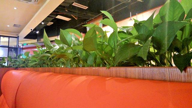 洛米堤快时尚西餐厅（公元前店）