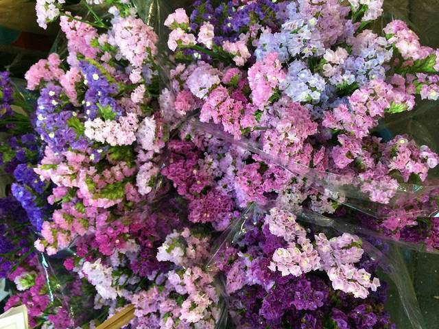 斯威特花卉市场