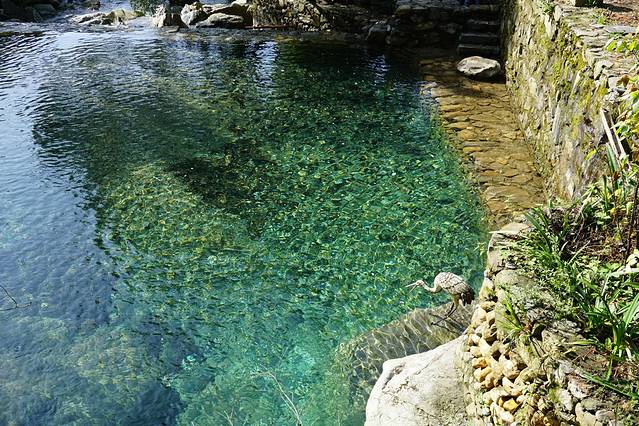 莲花洞森林公园