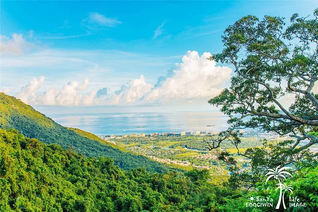 亚龙湾热带天堂森林公园