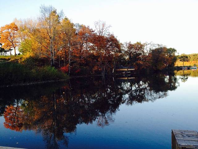 美人松雕塑公园