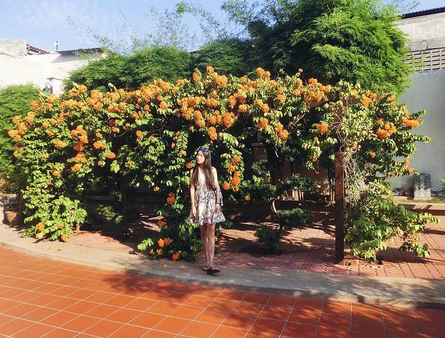 鸡场街世遗公园