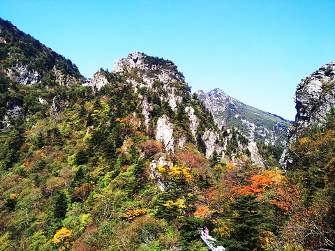 牛背梁国家森林公园旅游景点图片