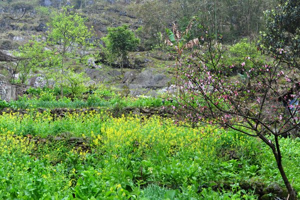 吞力黑衣壮山寨