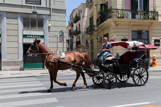 马耳他&西西里,最美丽的传说