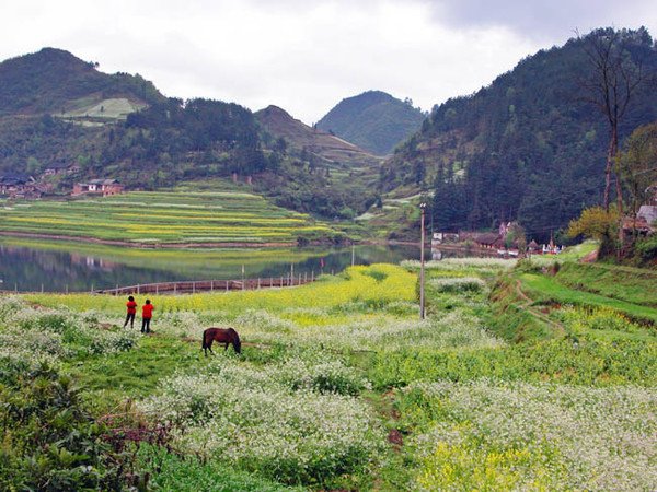 多彩贵州，大美之春 黔南旅游攻略 游记 去哪儿攻略